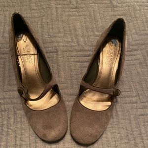 Franco Grey Kittens 🐱